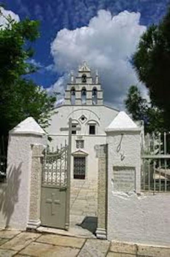 Independent Agapitos Apart , 2Bdrm, Private Patio Naxos City Екстериор снимка